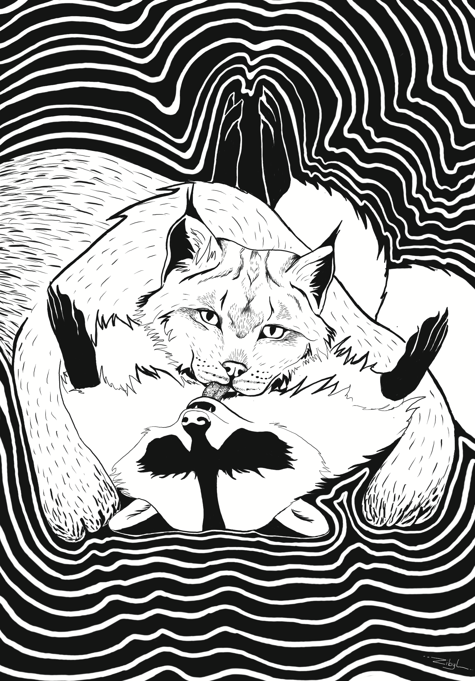 lynx